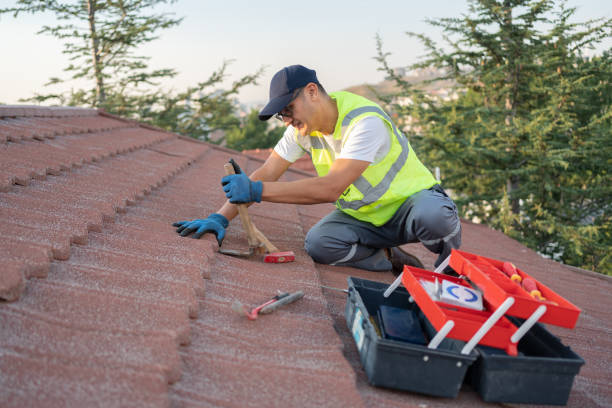 Best Local Roofing Companies  in Calhoun Falls, SC