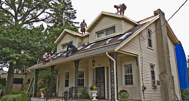 Best Best Roofing Contractors  in Calhoun Falls, SC